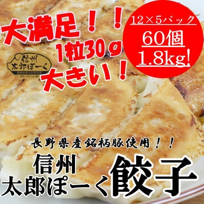 【信州上田太郎ぽーく】太郎ぽーく餃子12個入り×5　60個