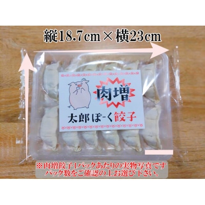 【信州太郎ぽーく】肉増!太郎ぽーく餃子12個入り×2パック