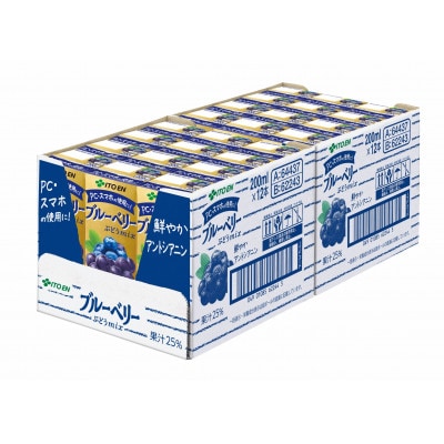 (紙パック)ブルーベリーぶどうmix200ml×24本