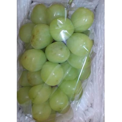 雄宝 秀品 600g超え【 栽培期間中低農薬・草生栽培・除草剤不使用 】ご贈答品