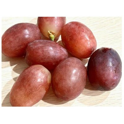 クイーンルージュ 2房(約800g)【 栽培期間中低農薬・草生栽培・除草剤不使用 】