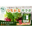 【農家直送便】サラダ野菜のおまかせ詰め合わせ　5パック(1パックに10～15品種)