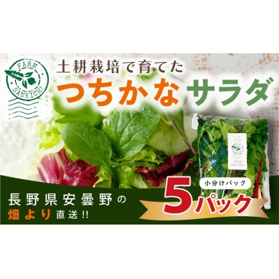 【農家直送便】サラダ野菜のおまかせ詰め合わせ　5パック(1パックに10～15品種)