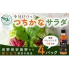 【農家直送便】サラダ野菜のおまかせ詰め合わせ　4パック(10～15品種)《ドレッシング付き 》