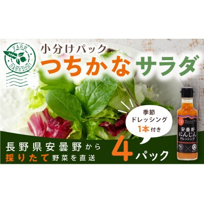 【農家直送便】サラダ野菜のおまかせ詰め合わせ　4パック(10～15品種)《ドレッシング付き 》
