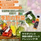 【季節野菜の限定セット】季節の野菜1パック+サラダ野菜のおまかせ詰め合わせ1パック+ドレッシング1本