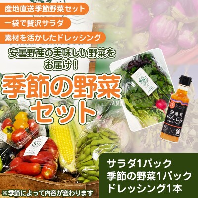 【季節野菜の限定セット】季節の野菜1パック+サラダ野菜のおまかせ詰め合わせ1パック+ドレッシング1本