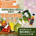 【季節野菜の限定セット】季節の野菜2パック+サラダ野菜のおまかせ詰め合わせ1パック+ドレッシング1本