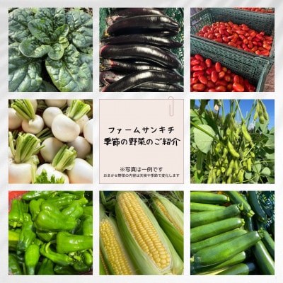 【季節野菜の限定セット】季節の野菜2パック+サラダ野菜のおまかせ詰め合わせ1パック+ドレッシング1本