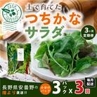 【毎月定期便】【農家直送便】サラダ野菜のおまかせ詰め合わせ3パック(1パックに10～15品種)全3回