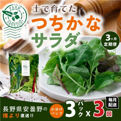 【毎月定期便】【農家直送便】サラダ野菜のおまかせ詰め合わせ3パック(1パックに10～15品種)全3回