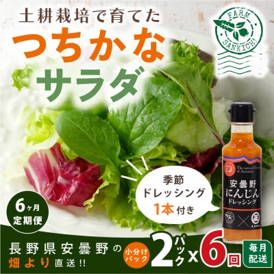 【毎月定期便】サラダ野菜のおまかせ詰め合わせ　2パック(10～15品種)《ドレッシング付き》全6回