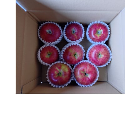 サンふじ贈答用小玉5kg