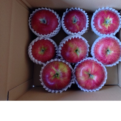 訳ありサンふじ5kg