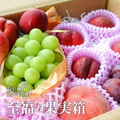 信州うちやま農園のフルーツ詰め合わせ【夏に届く】至福の果実箱C(3～5種類)シャインマスカット入り