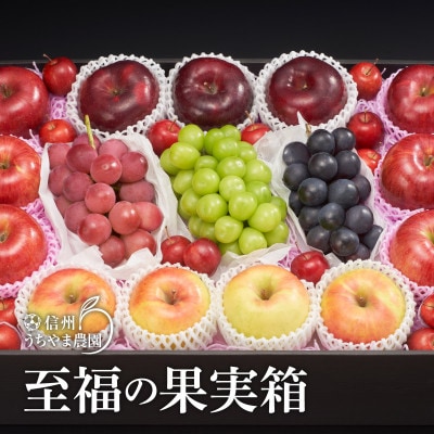 信州うちやま農園のフルーツ詰め合わせ【秋に届く】EMiNA旬の箱ナガノパープル、クイーンルージュ入り