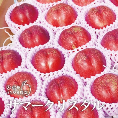 信州うちやま農園のスイート白ネクタリン(約3.5kg～4kg 約18～25玉入り) クリスタル系品種