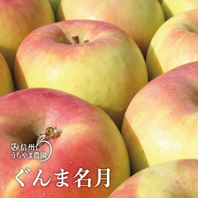 果汁たっぷりで甘みが強い『ぐんま名月』約3kg(約7～9個)