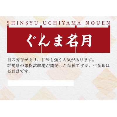 果汁たっぷりで甘みが強い『ぐんま名月』約3kg(約7～9個)