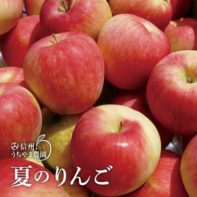 初夏の味!『夏あかり』約2.5kg(約11～15個)　信州りんご