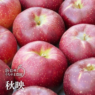 信州りんご『秋映』約3kg(約7～9個)