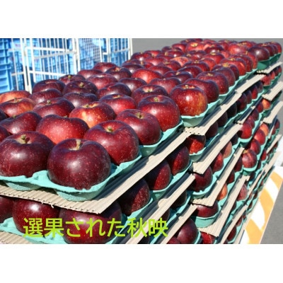 信州りんご『秋映』約5kg(約12～18個)