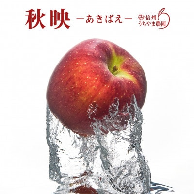 秋映-あきばえ- (木成り完熟)約3kg(7～9個) 信州りんご