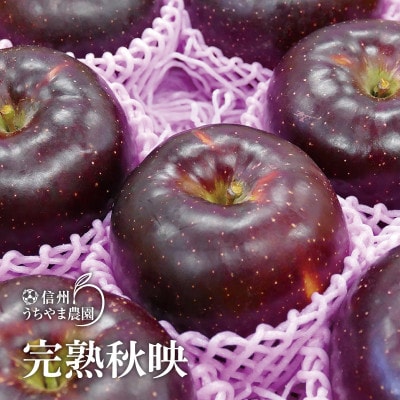 秋映-あきばえ- (木成り完熟)約5kg(約12～16個) 信州りんご