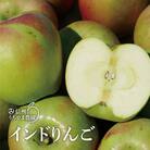 幻の印度りんご!約5kg