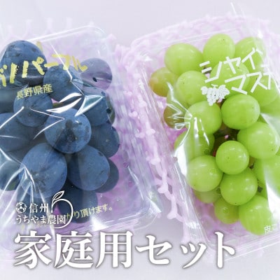 ナガノパープル&シャインマスカット家庭用セット(訳あり品) 約350g×2パック