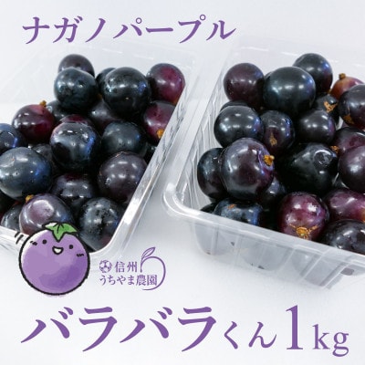 (訳あり)信州うちやま農園のナガノパープル(バラバラ君)　1kg　●2025年発送●