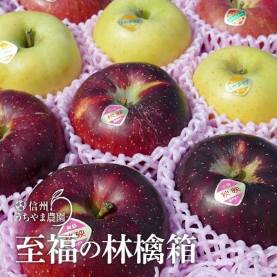 信州うちやま農園のりんご詰め合わせ 信州りんご味比べセット(食べ比べ)至福の林檎箱A 約3kg入り