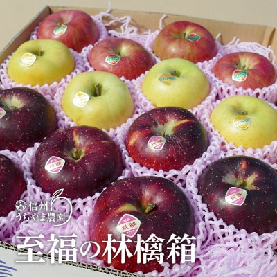 信州うちやま農園のりんご詰め合わせ 信州りんご味比べセット(食べ比べ)至福の林檎箱B 約5kg入り
