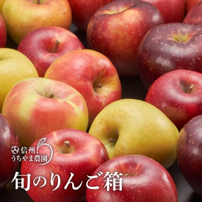 信州うちやま農園のりんご詰め合わせ 信州りんご味比べセット(食べ比べ)至福の林檎箱B 約5kg入り