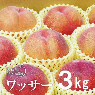 信州うちやま農園の「ワッサー」約3kg(9～11玉入り)　桃+ネクタリンの掛け合わせ