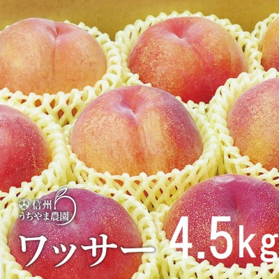 信州うちやま農園の「ワッサー」約4.5kg(15～18玉入り)　桃+ネクタリンの掛け合わせ