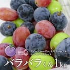 【訳あり品】バラバラくん3色1kg(ナガノパープル・クイーンルージュ(R) ・シャインマスカット)