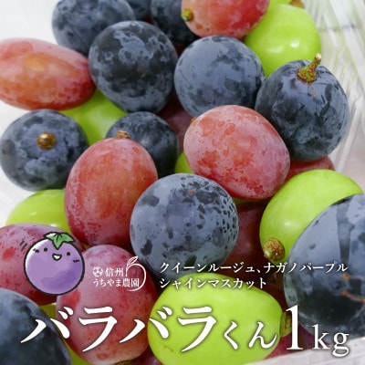 【訳あり品】バラバラくん3色1kg(ナガノパープル・クイーンルージュ(R) ・シャインマスカット)