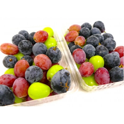 【訳あり品】バラバラくん3色1kg(ナガノパープル・クイーンルージュ(R) ・シャインマスカット)