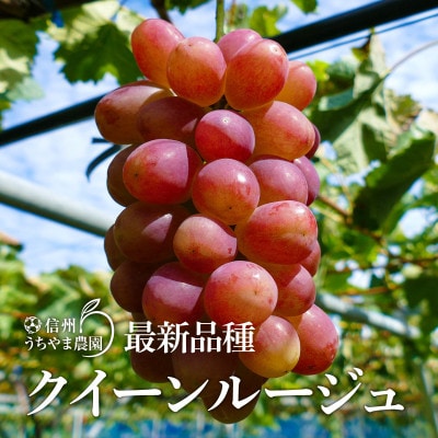 【訳あり品】バラバラくん3色1kg(ナガノパープル・クイーンルージュ(R) ・シャインマスカット)