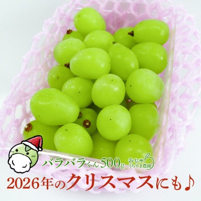【訳あり品】2026年のクリスマスにも♪シャインマスカット(バラバラくん) 約500g