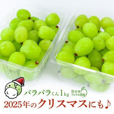 【訳あり品】2025年のクリスマスにも♪シャインマスカット(バラバラくん) 約1kg