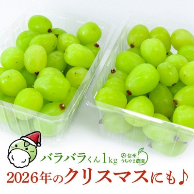 【訳あり品】2026年のクリスマスにも♪シャインマスカット(バラバラくん) 約1kg