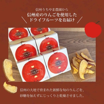 信州うちやま農園のドライフルーツ「りんごひとかけら」300g(25g×12箱)　信州りんご(乾燥)