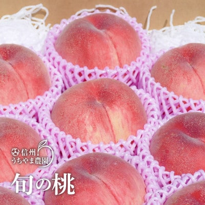 信州うちやま農園の旬の桃 約5kg(10～16玉)　2025年7月下旬より順次発送予定