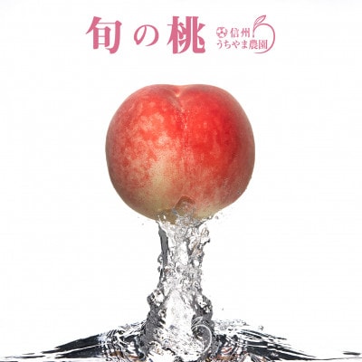 信州うちやま農園の旬の桃 約5kg(10～16玉)　2025年7月下旬より順次発送予定