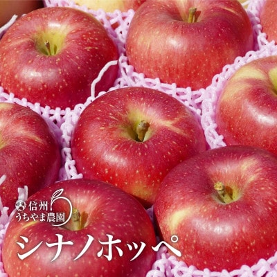 ほっぺたが落ちるほどに美味しい『シナノホッペ』約3kg (約7～9個)