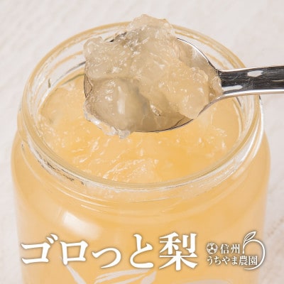 信州果実100%ジャム★梨ジャム★　大瓶&小瓶　計2本　信州うちやま農園のフルーツジャム