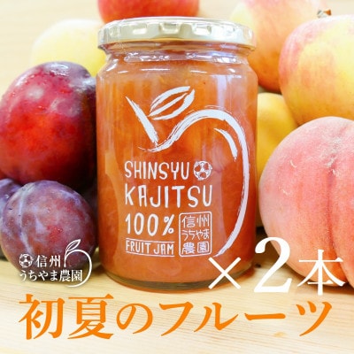 信州果実100%ジャム★初夏のフルーツミックス★　大瓶2本セット　信州うちやま農園のフルーツジャム