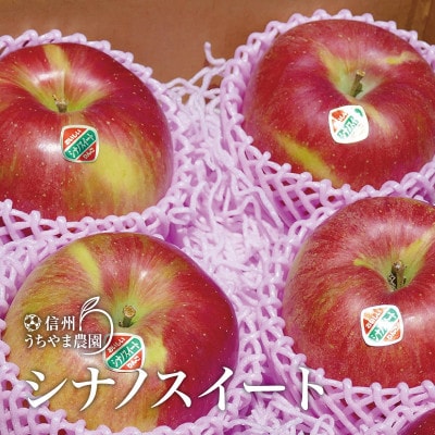 甘～いりんご『シナノスイート』約5kg(約10～16個) 信州りんご★長野県産